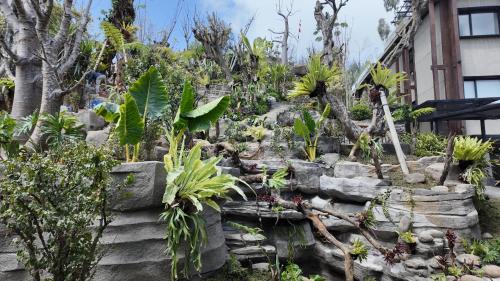 Tosari Hotel | Jambuluwuk Bromo Poshtel