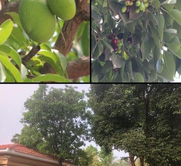 Sanand Villa | Jamstay by Nature's Abode®Villas