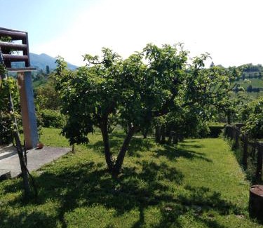 Jastrebarsko House | Jana