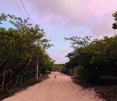 Atins Hotel | Jandaia Atins