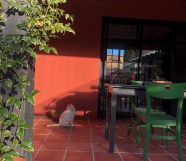 Lagoa da Conceicao Bed & Breakfast | Janela de Marcia Bed and Breakfast