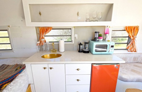Paso Robles RV Rental | Janis Jopplin Trailer - Janis Jopplin Themed Vintage Trailer on Vineyard