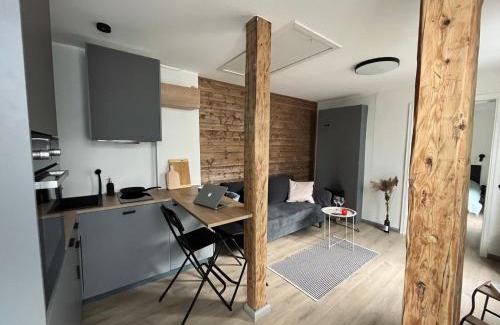 Parnu Apartment | Jannseni Summer House with AC and free private parking