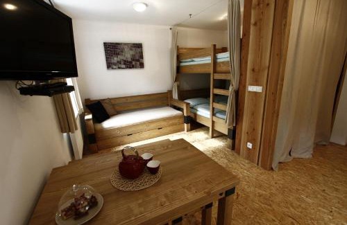 Dolni Dvur Apartment | Janova Bouda