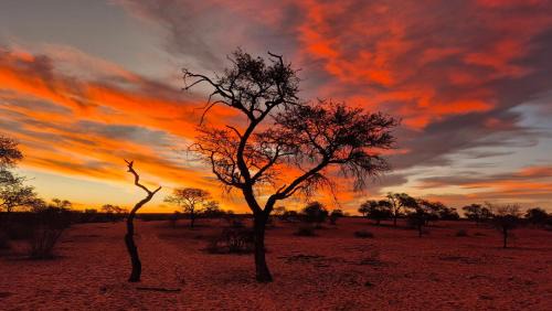 Intu Afrika Kalahari Private Reserve House | Jansen Kalahari Guest Farm