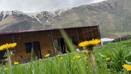 Kazbegi Apartment | Januka Studio