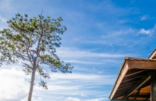 Jarabacoa Cabin | Jarabacoa Villas Ecolodge