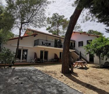 Vieux-Boucau-les-Bains Apartment | Jaray-Jaclo Chambres d' hôtes