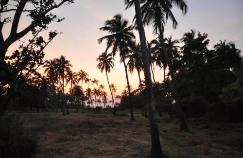 Morjim Bed & Breakfast | Jardin d'Ulysse & Hard Rock