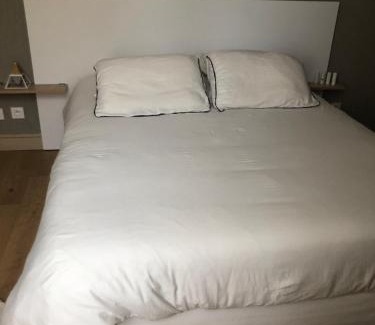 Bollee Bed & Breakfast | Jardin des Plantes