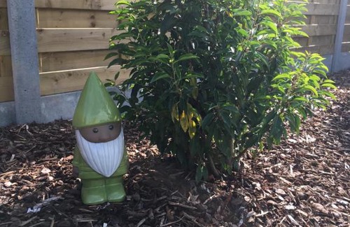 Watou Other | Jardin Jannik