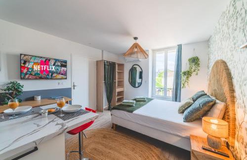 Roanne Apartment | Jasmin Roanne centre-ville - Parking & Clim