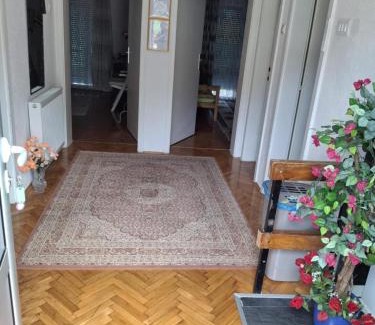 Mali Radic Apartment | Jasmir
