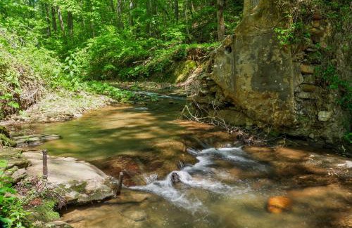 Jasper House | Jasper 7 Timbers Cabin on 10 Acres with a Creek!