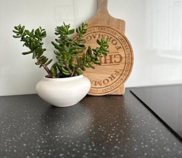 Silute Apartment | Jaukūs apartamentai Šilutėje