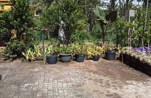 Wonosari House | java break away