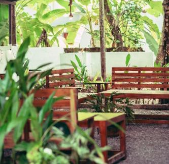Varkala Apartment | JayBee's Homestead