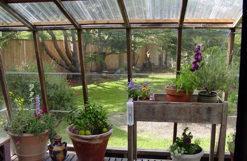 Ferndale Cabin | Jeannette's Cottage Your home in the Victorian Village of Ferndale. Pets OK