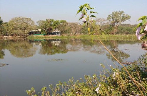 Chendhare House | Jeevan Geet
