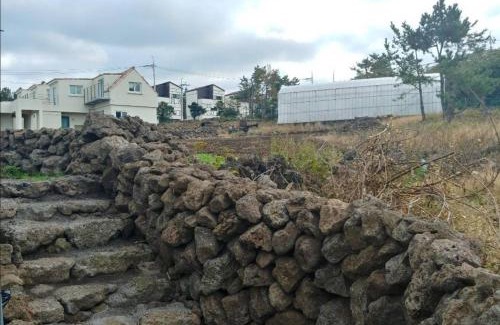 Pyeongdae-ri House | Jeju Bijarim Very Mung Pension