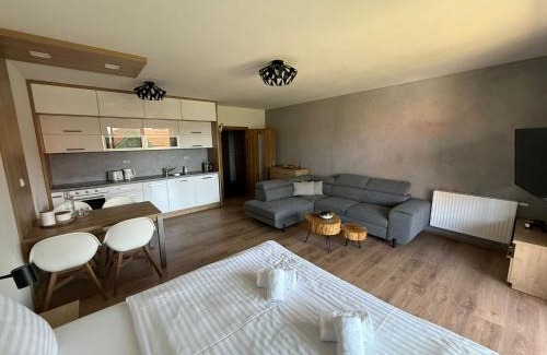 Lipno nad Vltavou Apartment | Jen tak Lipno