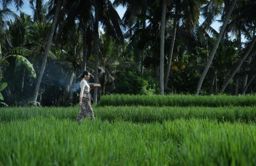 Peliatan Villa | Jepun Villa at Sawah Indah Ubud