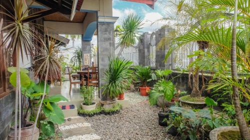 Situbondo House | Jeru Homestay