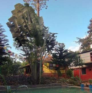Jhargram House | Jhargram Jhumur Camp Homestay