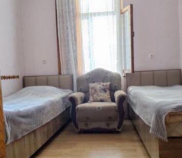 Lagodekhi House | Jibghashvilebi's house