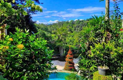 Nyuh Kuning Apartment | Jivaa 1 BR Superior Garden View ZN239