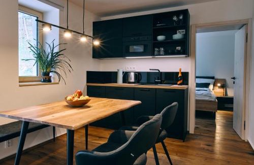 Bedrichov Apartment | Jizerína