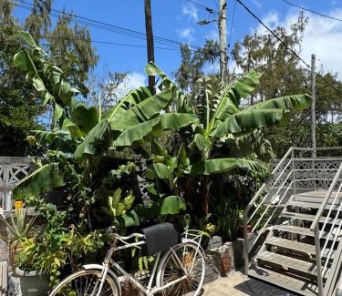 Le Morne Brabant House | JN sunflower residence