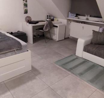 Mannheim City Centre Apartment | Joanna Apartment- MA City 1