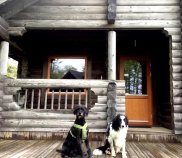 Ullared Cabin | Joe Getaway - Stugby i Ullared