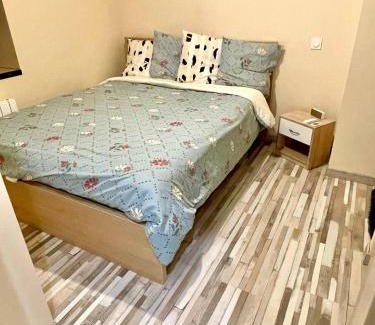 Saint-Laurent-sur-Saone Apartment | Joli Appartement T2 Saint Laurent Sur Saone