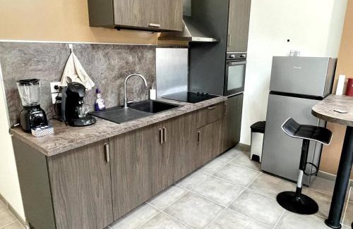 Saint-Laurent-sur-Saone Apartment | Joli Appartement T2 Saint Laurent Sur Saone