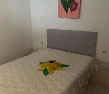 Hammam Sousse Apartment | Joli Apparetement deux pas à la plage