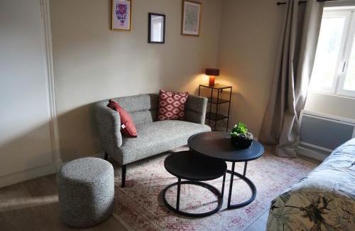 Faubourg Sud Apartment | Joli cocon - Dijon centre ville