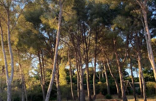 Le Pradet House | Joli mas bohème 60 m carré a seulement une minute à pied de la plage 4 personnes