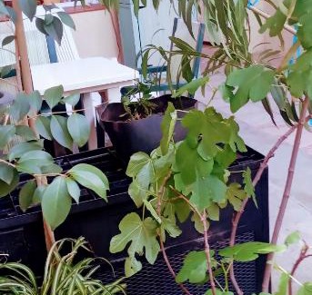 Espira de l'Agly Apartment | Joli Studio avec jardin