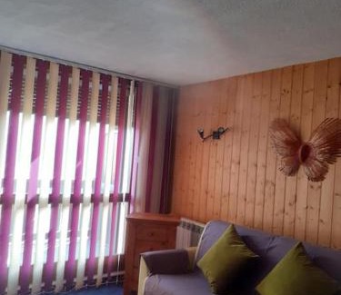 Pra Loup Apartment | Joli studio proche des telecabines