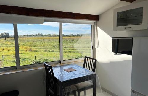 Les Bormettes Apartment | Joli studio très clair à proximité mer pour 3 personnes