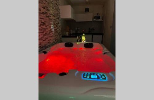 Trois Cocus - Borderouge - Croix-Daurade - Paleficat Apartment | Joli T2, jacuzzi, lit rond, jardin, parking privé, métro