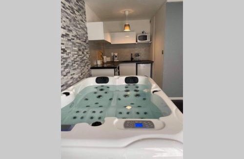Trois Cocus - Borderouge - Croix-Daurade - Paleficat Apartment | Joli T2, jacuzzi, lit rond, jardin, parking privé, métro