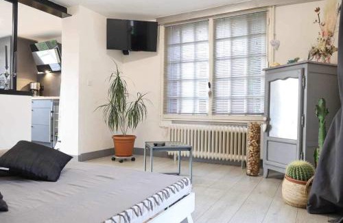 Beaugency Apartment | Jolie petit F2 dans maison