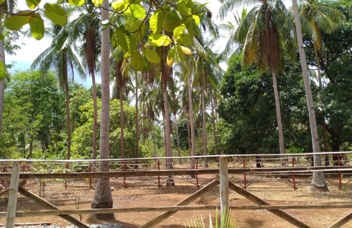 Mimaropa House | Josefa Farm House