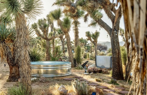 Yucca Valley House | Joshua Gardens