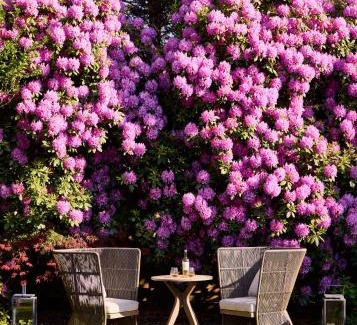 East Hampton North Hotel | Journey East Hampton