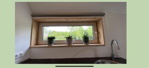 Municipality of Tynaarlo House | JouwvakantiehuisNL - Accommodatie Drentsche Aa
