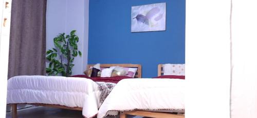 Downtown Cairo Apartment | Joy homes & suits